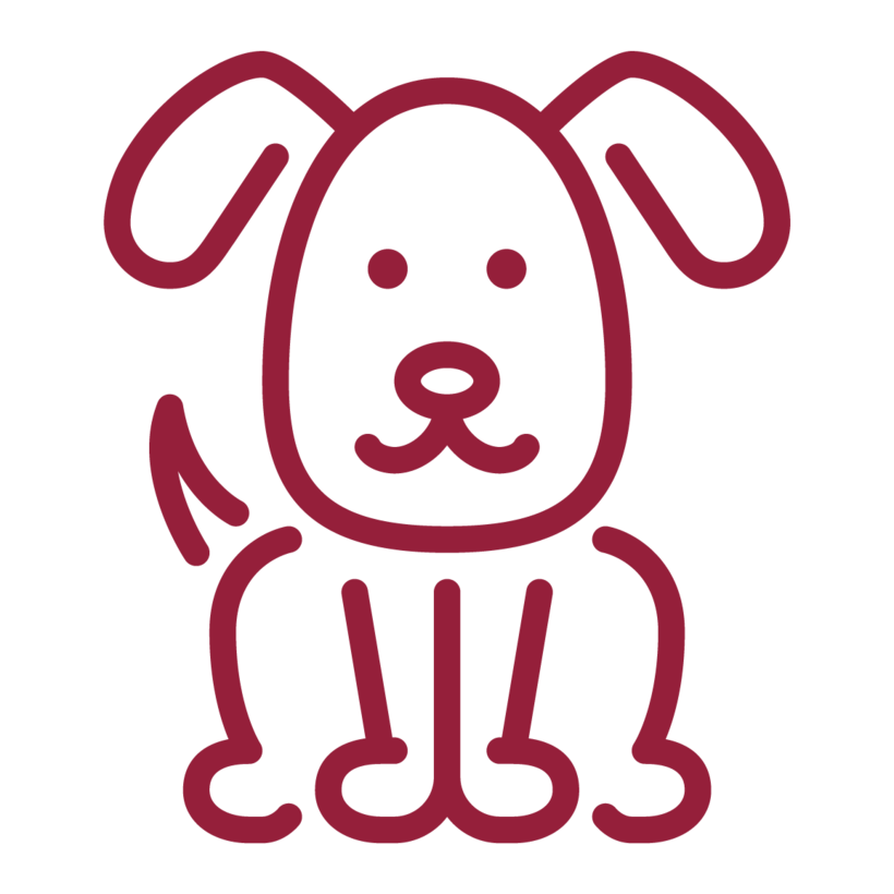 stats icon voor leerlingen (of 100 klassen) leerden omgaan met honden  2 194 